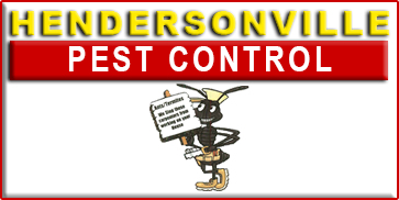 Hendersonville Pest Control - Pest Control Services in North Carolina & South Carolina -(828) 692-1569